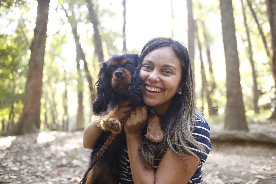 Cuidados com o Cavalier King Charles