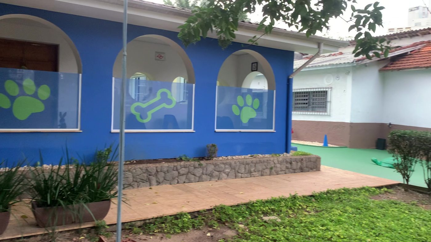 Quanto custa uma creche para cães e o que está incluso