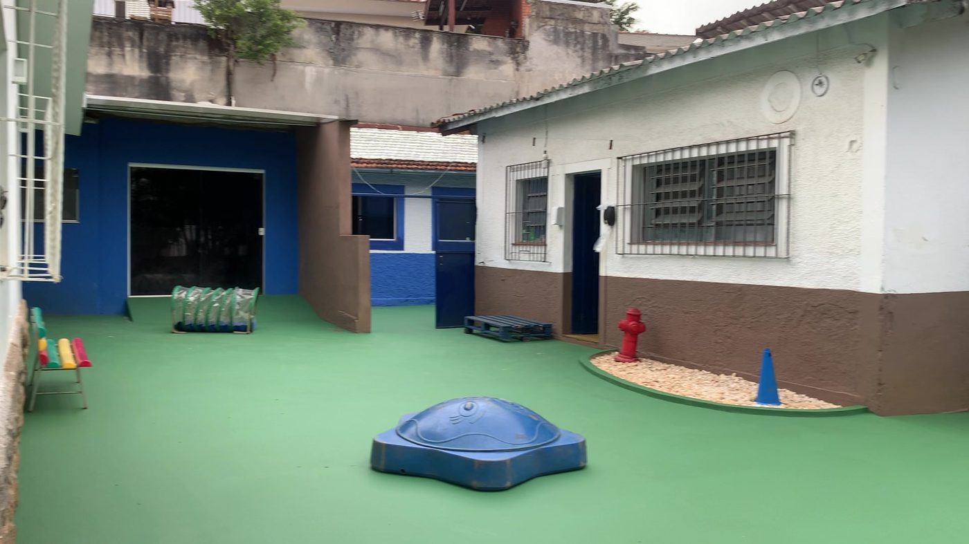 Como escolher uma creche para cães em São Paulo